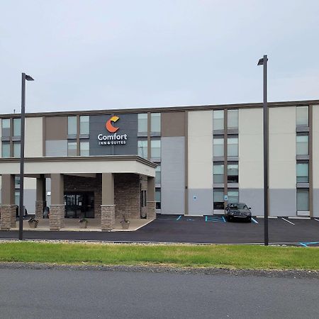 Comfort Inn & Suites Wyomissing-Reading Exterior foto