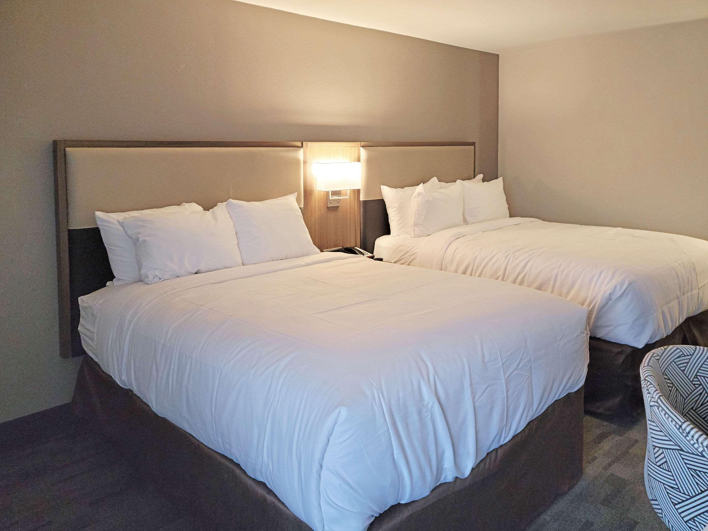Comfort Inn & Suites Wyomissing-Reading Exterior foto